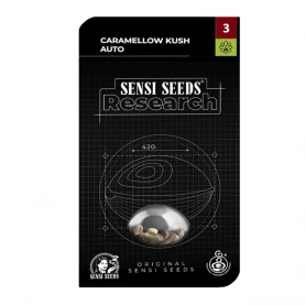 balenie semien marihuany Caramellow Kush Automatic (3 semienka) - Semená marihuany Sensi Seeds Research