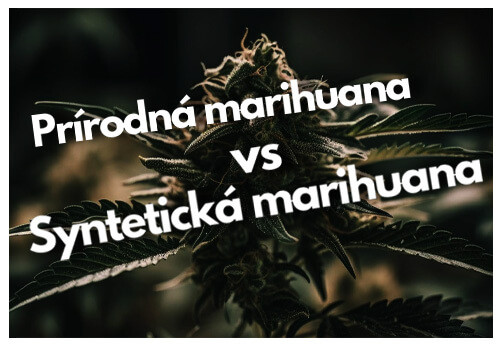 Prírodná marihuana verzus syntetická marihuana: Komplexné porovnanie účinkov, rizík a výhod!